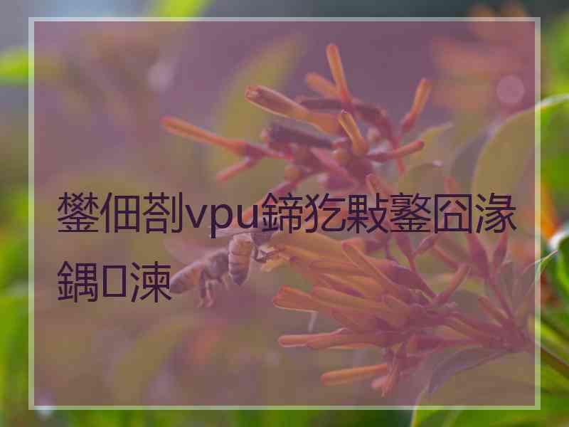 鐢佃剳vpu鍗犵敤鐜囧湪鍝湅