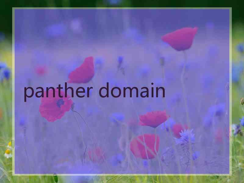 panther domain