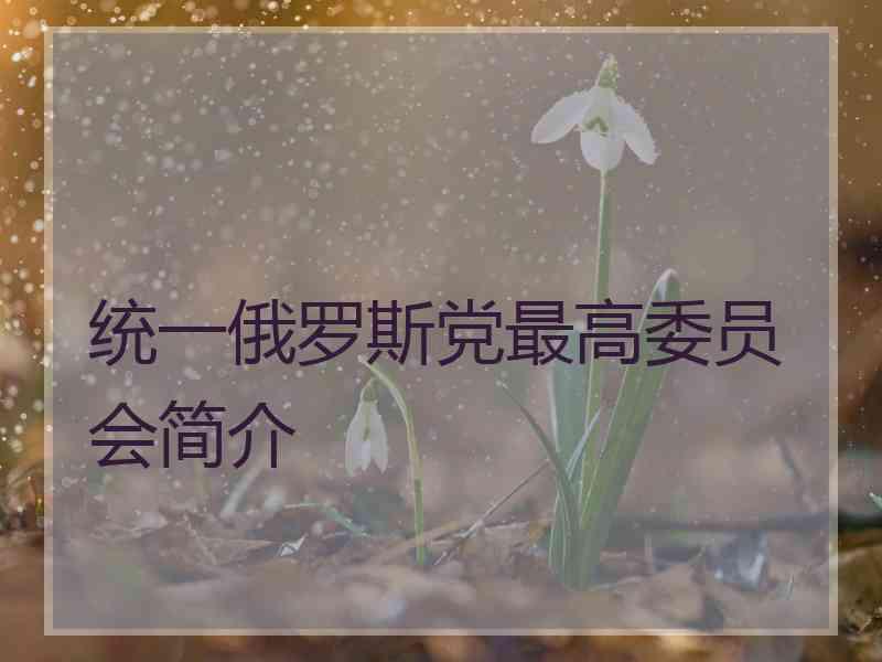 统一俄罗斯党最高委员会简介