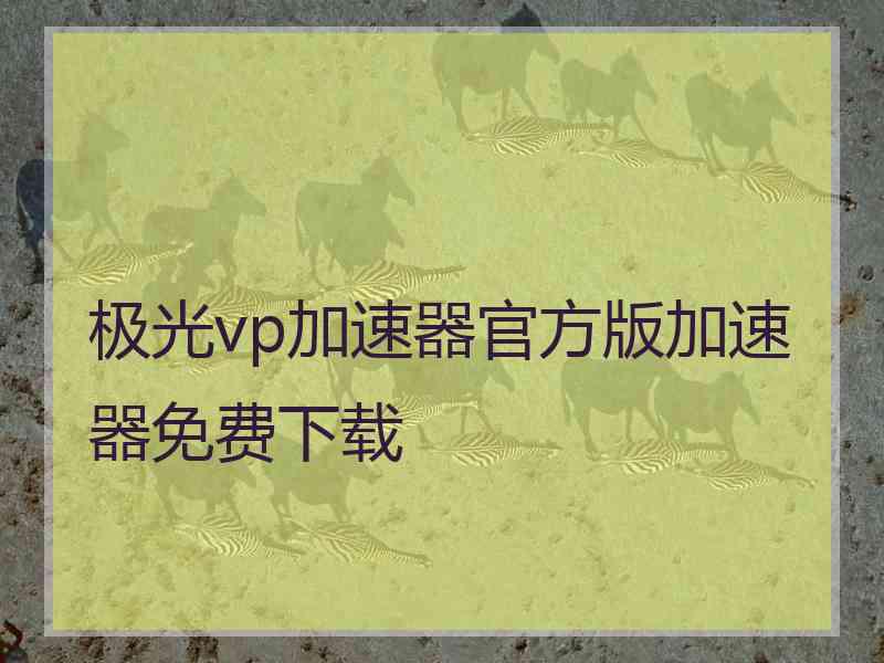 极光vp加速器官方版加速器免费下载