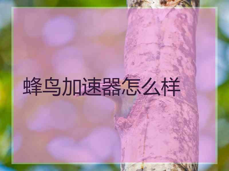 蜂鸟加速器怎么样