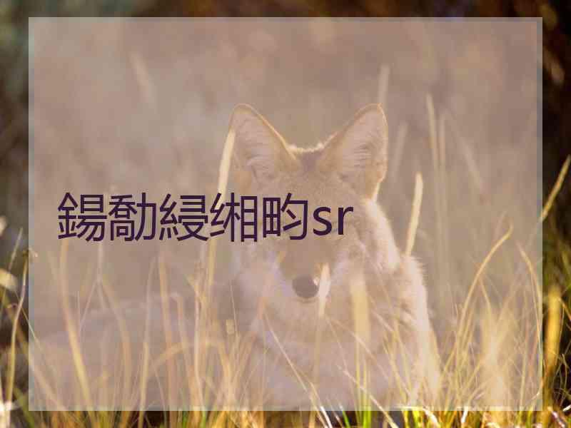 鍚勪綅缃畇sr