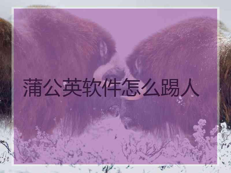 蒲公英软件怎么踢人