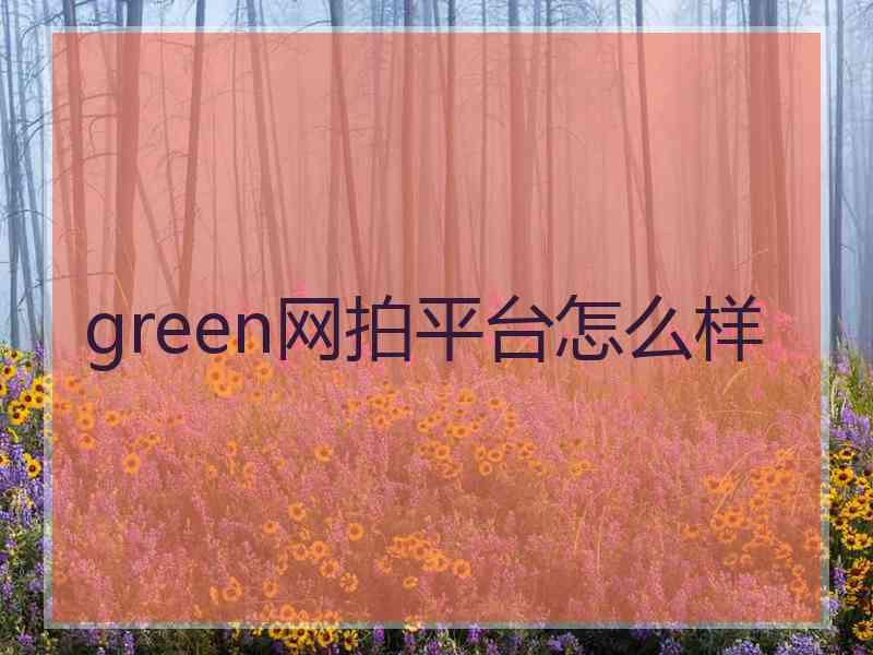 green网拍平台怎么样