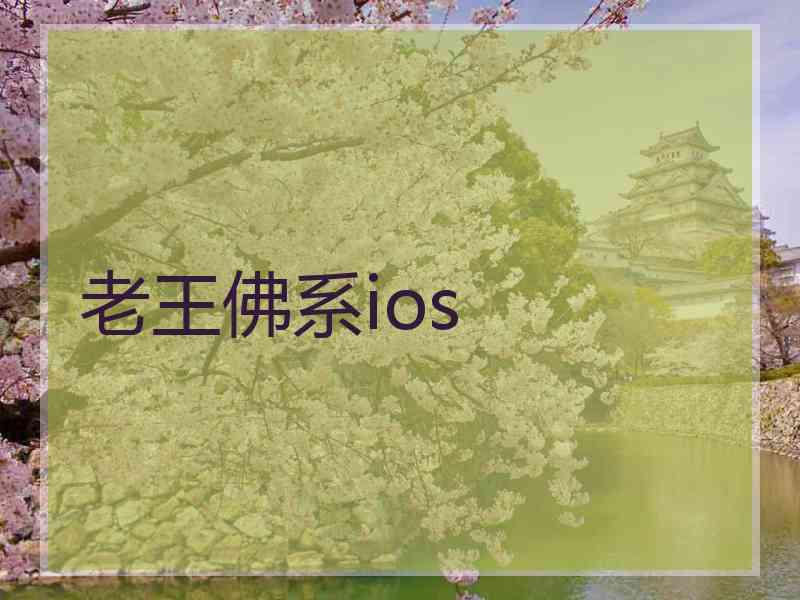 老王佛系ios