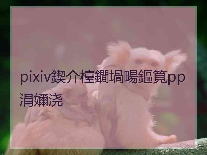 pixiv鍥介檯鐗堝畼鏂筧pp涓嬭浇