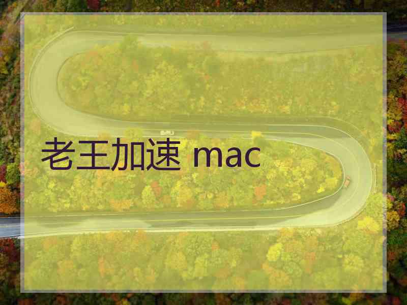 老王加速 mac