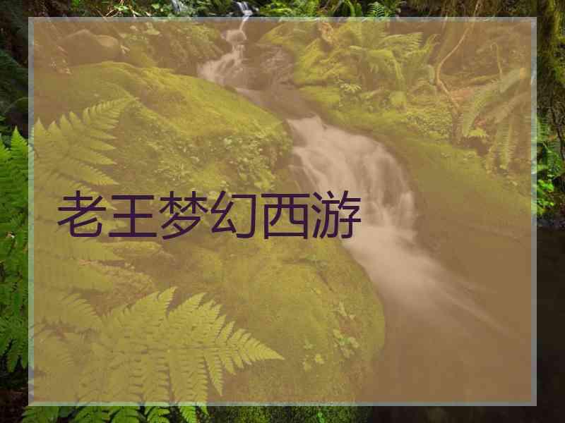 老王梦幻西游