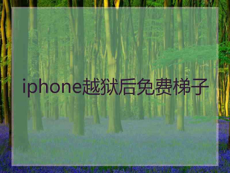 iphone越狱后免费梯子