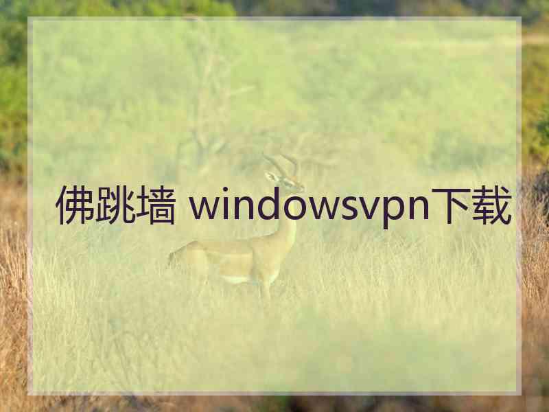 佛跳墙 windowsvpn下载