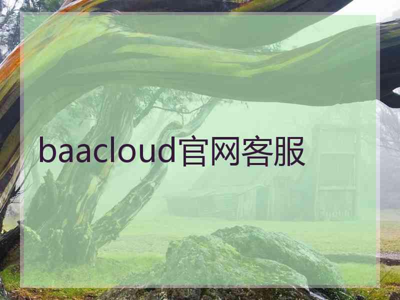 baacloud官网客服