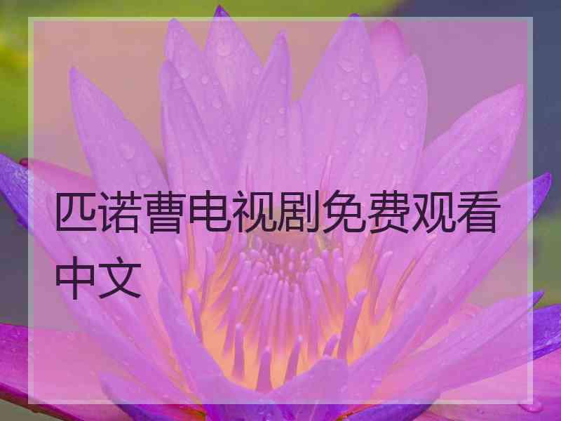 匹诺曹电视剧免费观看中文