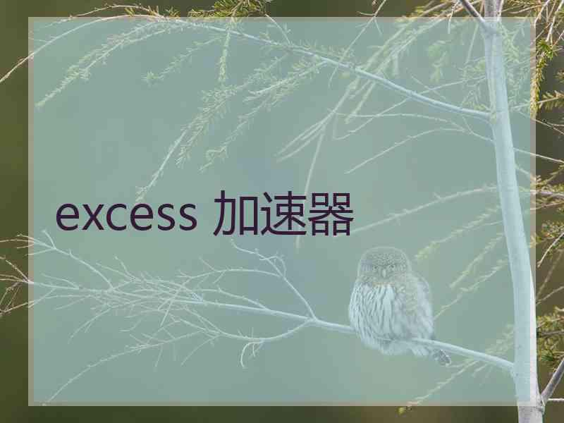 excess 加速器