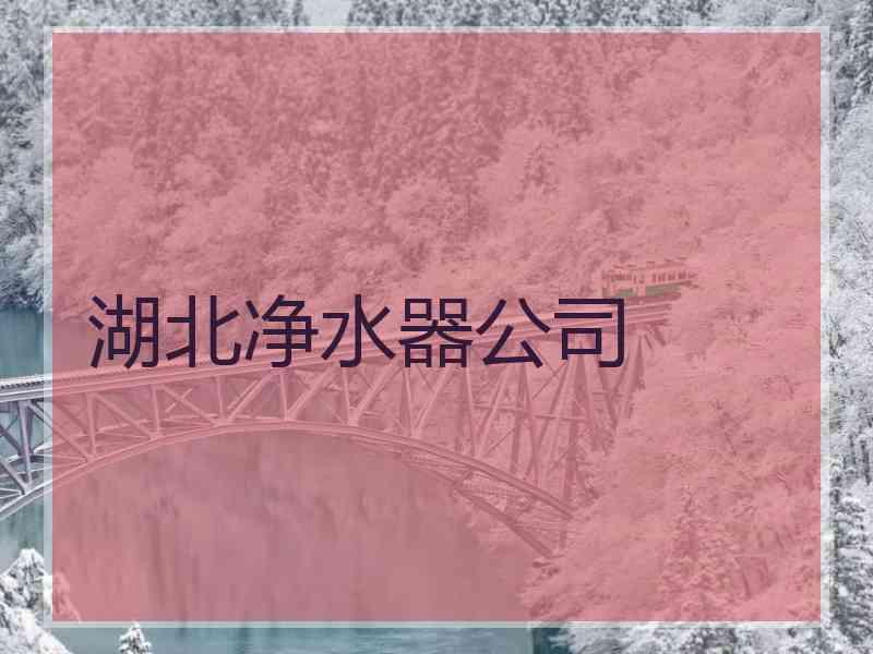 湖北净水器公司