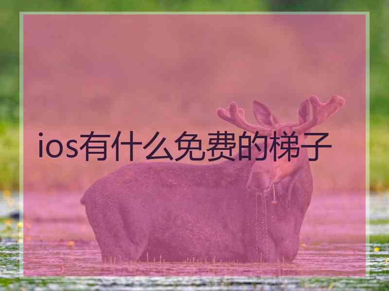 ios有什么免费的梯子