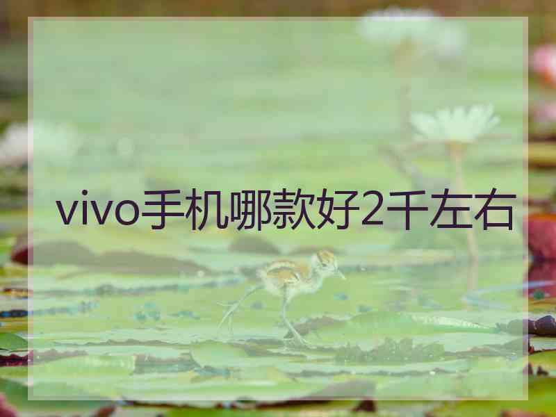 vivo手机哪款好2千左右