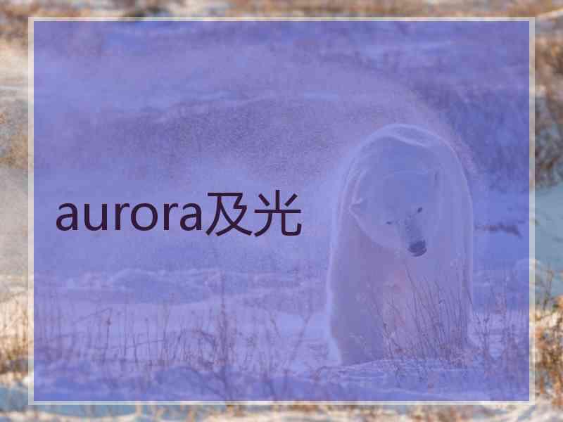 aurora及光