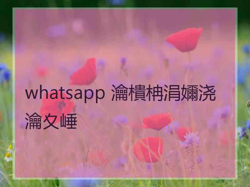 whatsapp 瀹樻柟涓嬭浇瀹夊崜