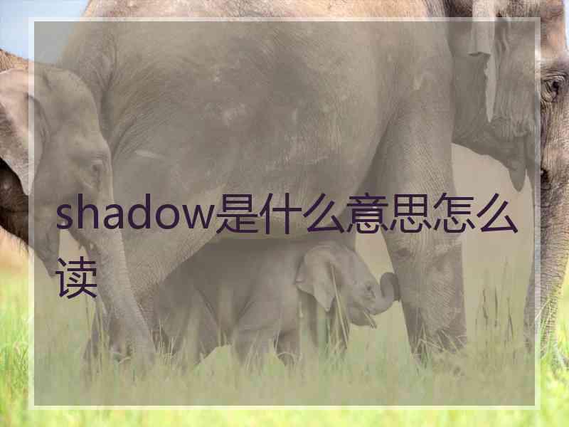 shadow是什么意思怎么读