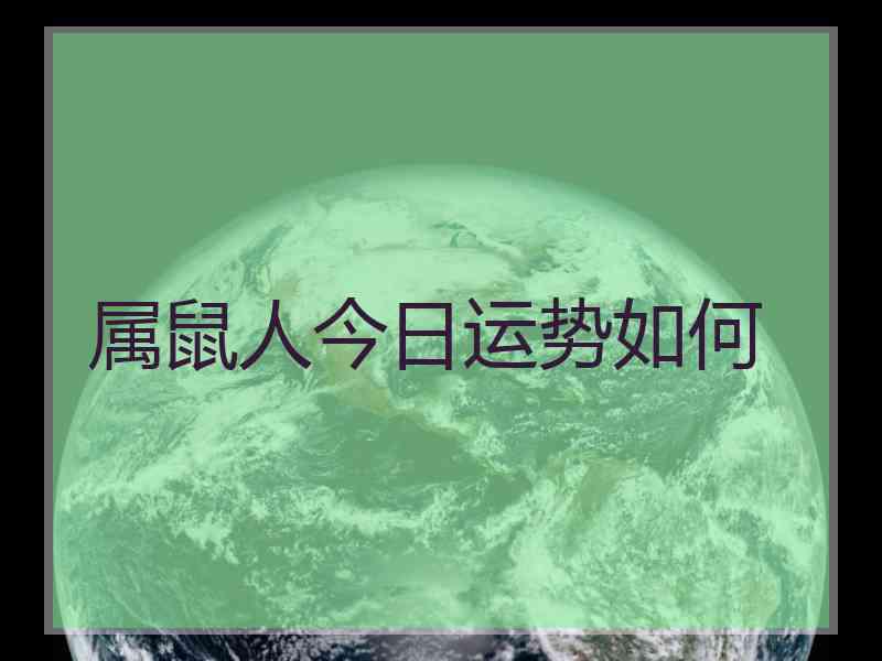 属鼠人今日运势如何