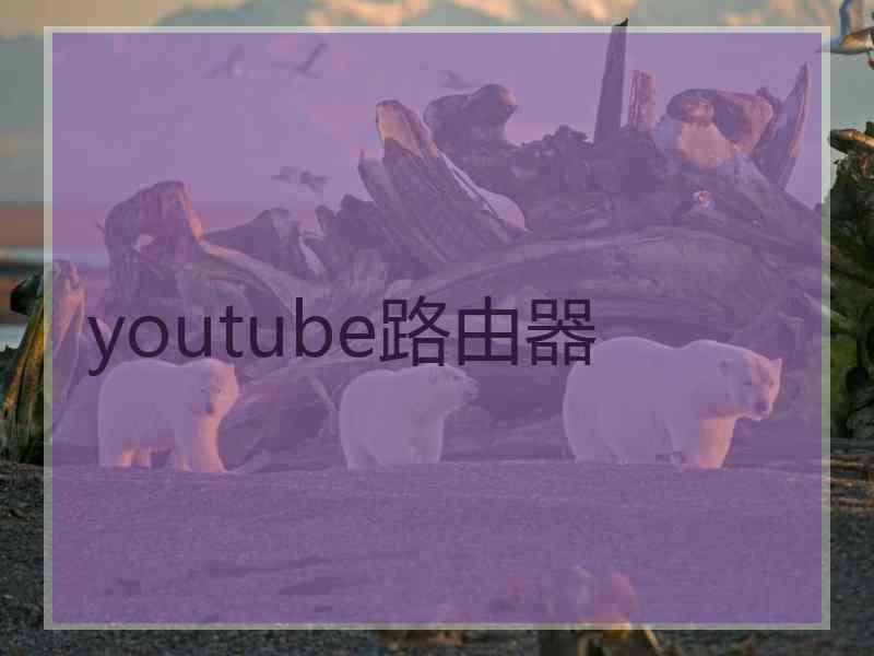 youtube路由器