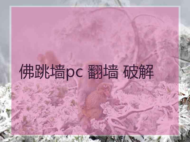 佛跳墙pc 翻墙 破解