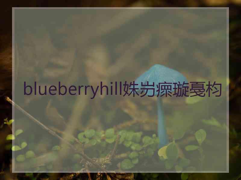 blueberryhill姝岃瘝璇戞枃