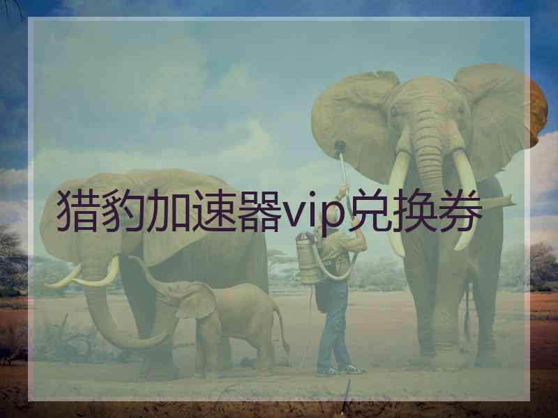 猎豹加速器vip兑换券