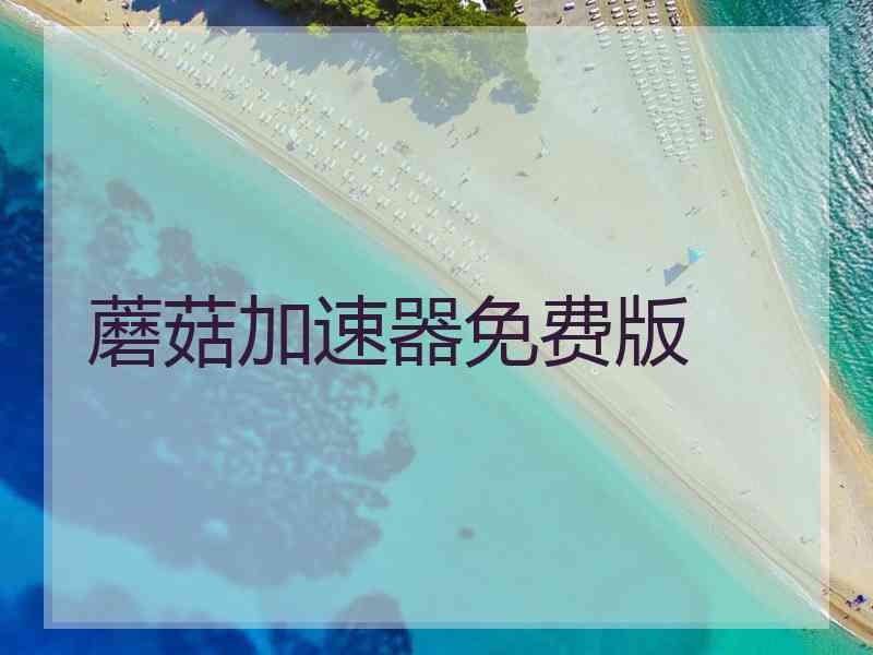 蘑菇加速器免费版