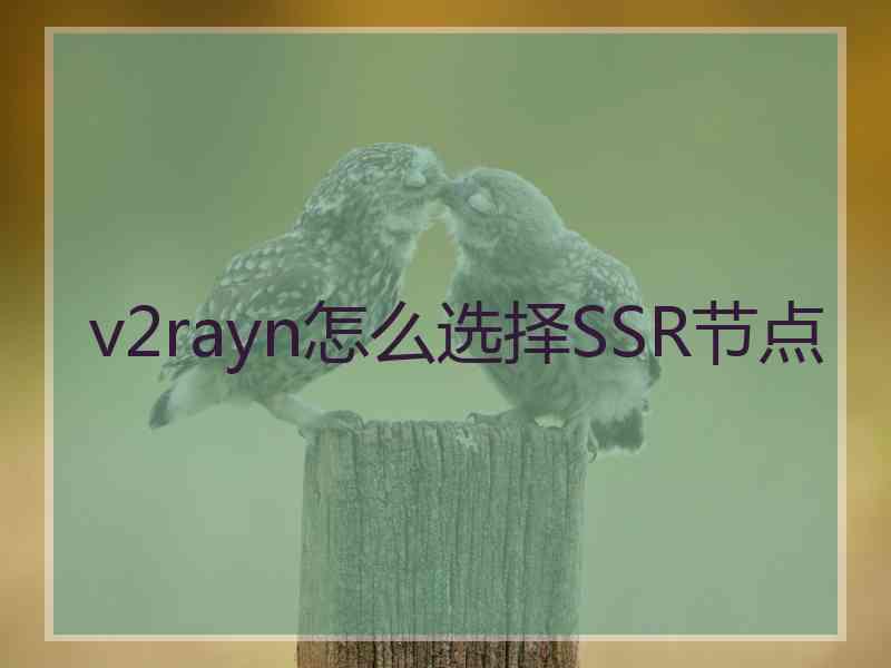 v2rayn怎么选择SSR节点