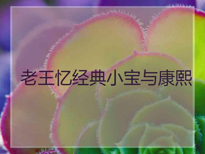 老王忆经典小宝与康熙