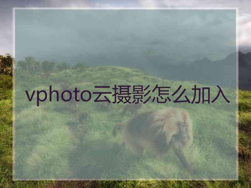 vphoto云摄影怎么加入