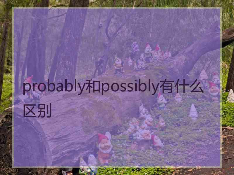 probably和possibly有什么区别