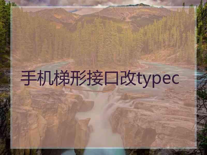 手机梯形接口改typec