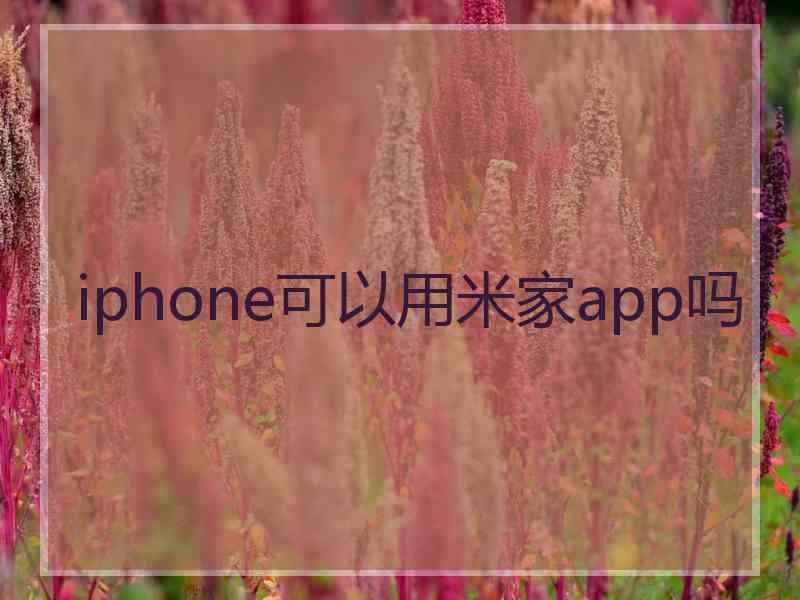 iphone可以用米家app吗