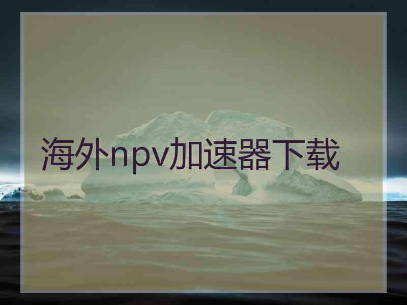 海外npv加速器下载