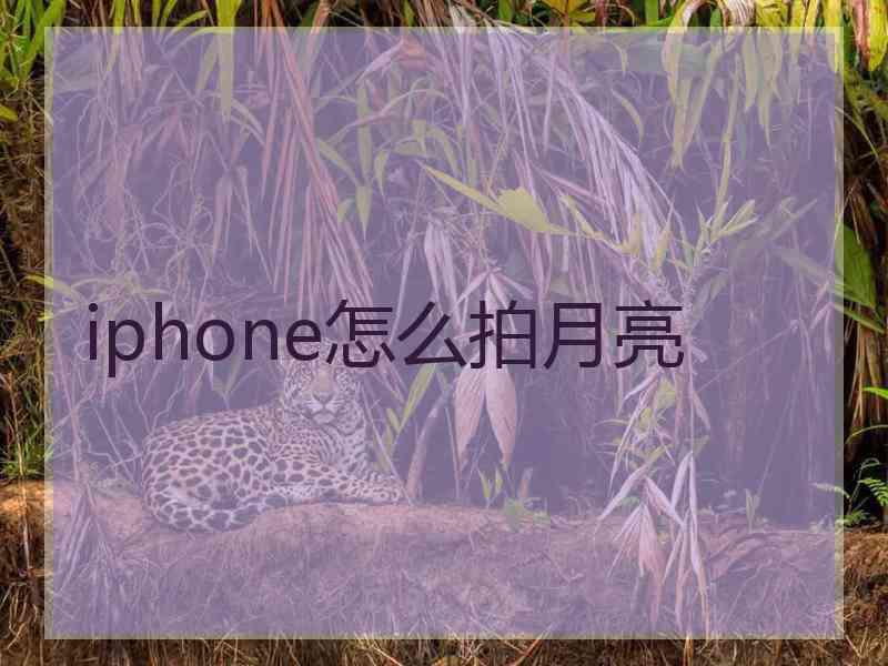 iphone怎么拍月亮