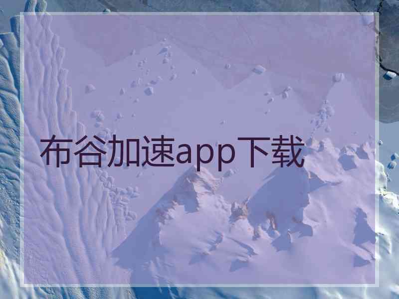 布谷加速app下载