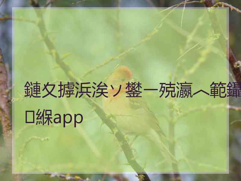 鏈夊摢浜涘ソ鐢ㄧ殑瀛︿範鑷緥app