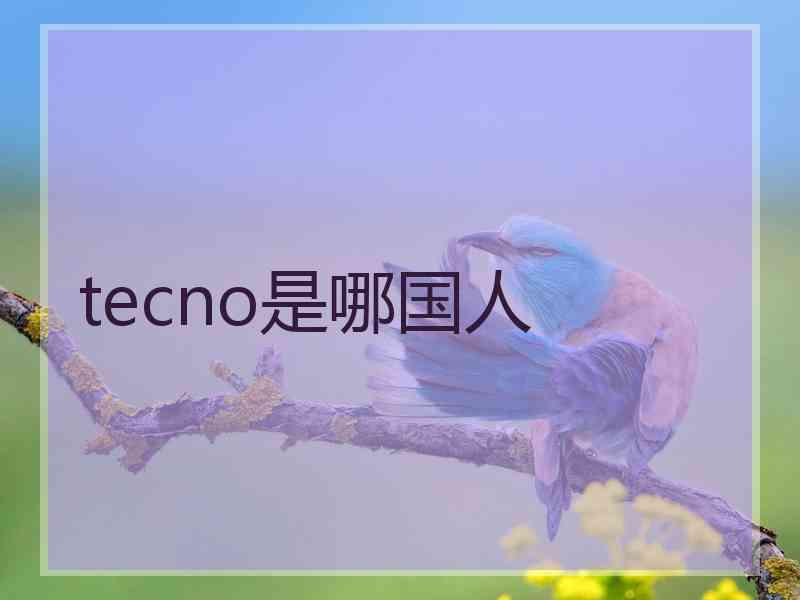 tecno是哪国人