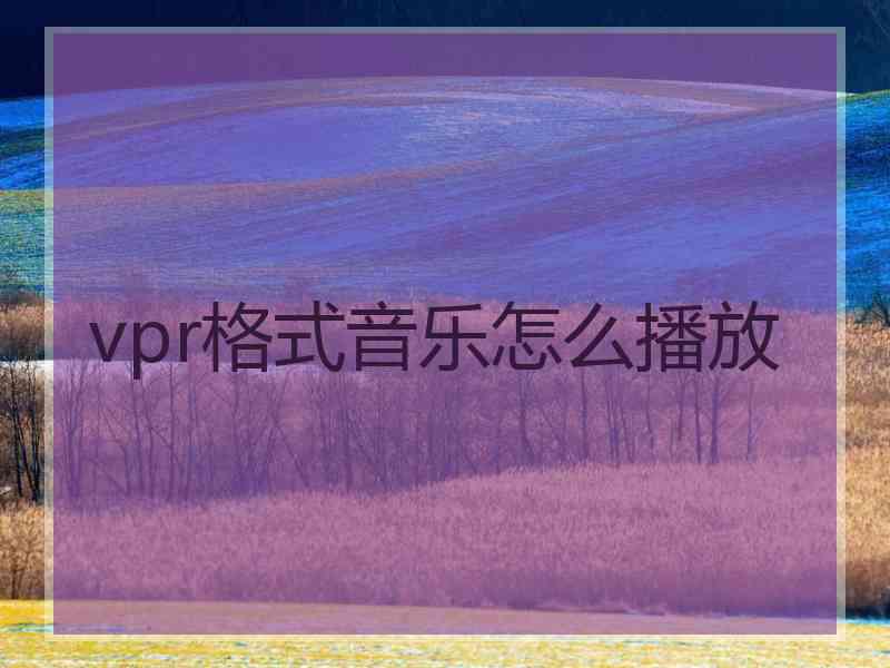 vpr格式音乐怎么播放