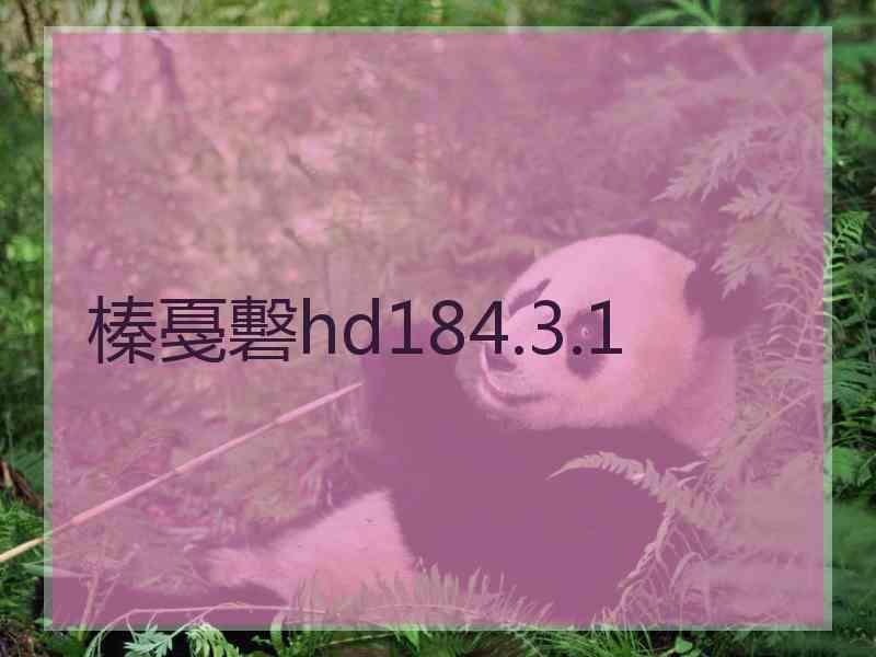 榛戞礊hd184.3.1