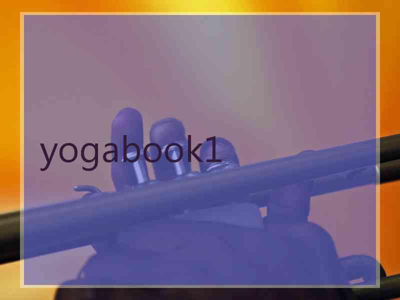 yogabook1