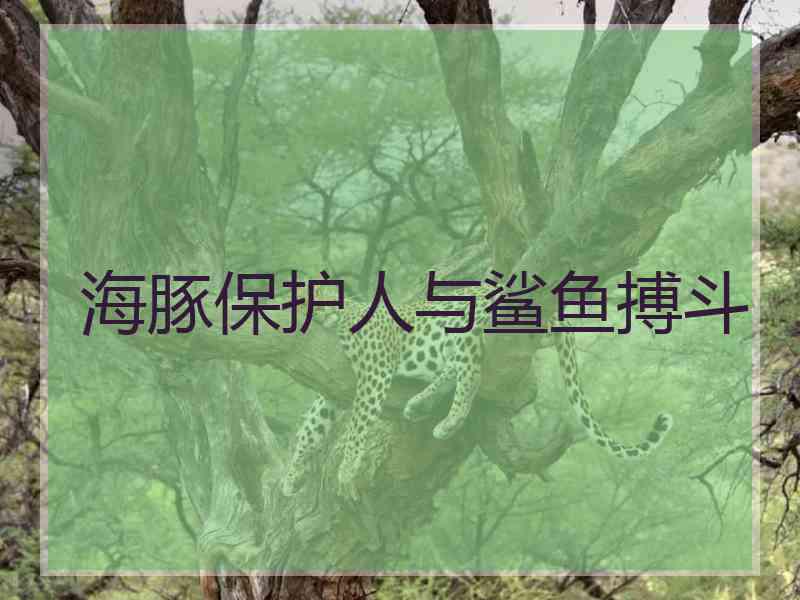 海豚保护人与鲨鱼搏斗