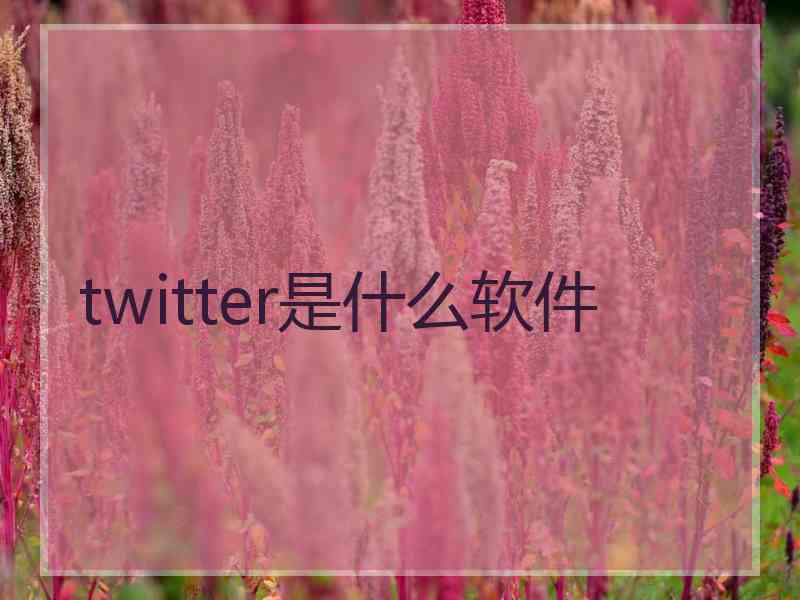 twitter是什么软件