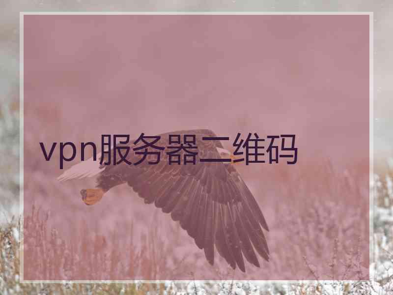 vpn服务器二维码