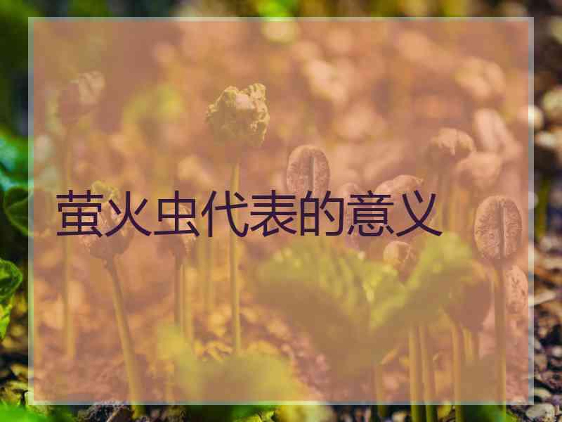 萤火虫代表的意义