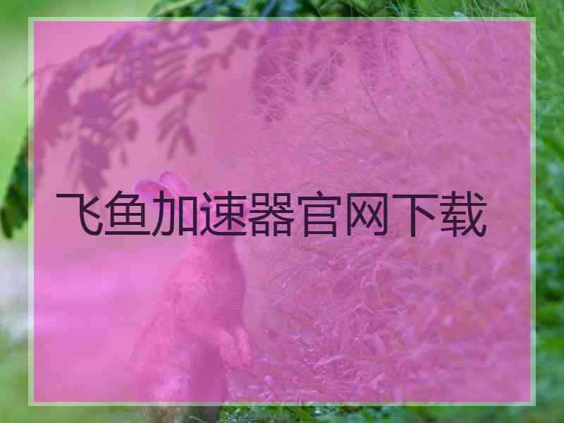 飞鱼加速器官网下载