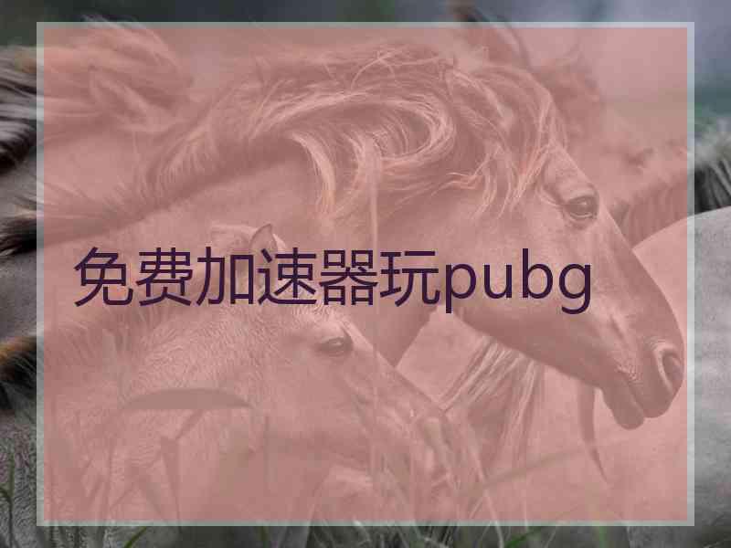 免费加速器玩pubg