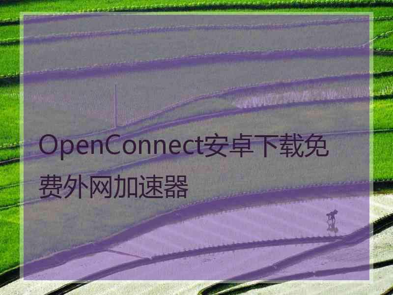 OpenConnect安卓下载免费外网加速器